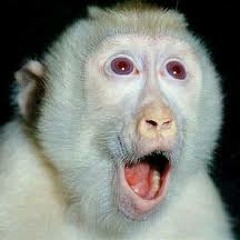 MEGA MADLEY DA PEDREIRA {{ DJ MARCIO O PROBLEMATICO }}