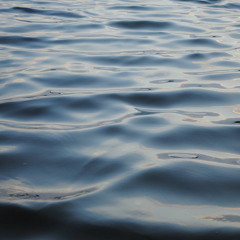 water (bruce lee tribute)