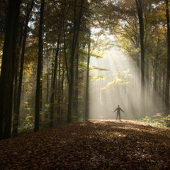 Kodiak C- Be yourself !