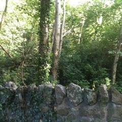 Ode to a Nightingale