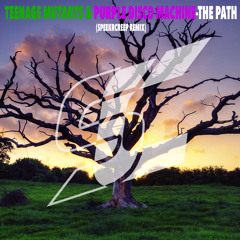 Teenage Mutants & Purple Disco Machine-The Path(Speekrcreep Remix)