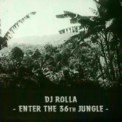 Enter The 36th Jungle - december 2013