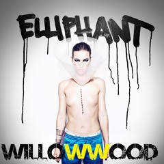 Willowwood feat. Elliphant - Reformhaus Revolution