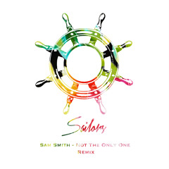 Not The Only One (Sailors Remix)