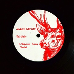 Napoleon - Cosmic Cheetah (Snippet) OUT NOW!