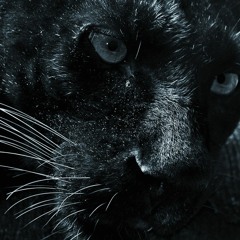 Techtonics 031 by PowTron feat. Subliminal Jaguar (DI Radio) - 8/20/14