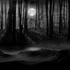 dark forest - DEEPAL