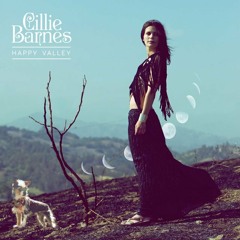 Cillie Barnes - Veranda (RAC Remix)