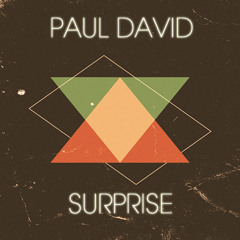 Paul David - Surprise