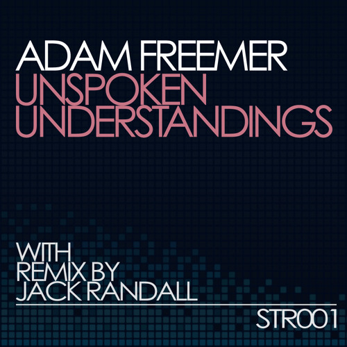 Unspoken Understandings -Syntek Recordings