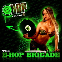 The E-Hop Brigade - In The Back