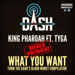 Pharaoh Jackson  Feat.  Tyga – What You Want