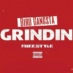 Bird gangsta - Grindin freestyle
