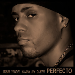 Perfecto (feat. Wisin Yandel & Ivy Queen)