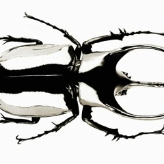 THE BATTERY OPERATED BRAIN