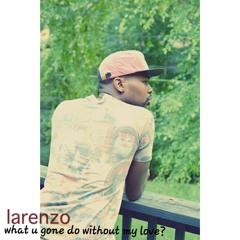 Larenzo - what you gone do without my love?