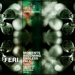 Feri - Moments Becoming Endless Fall (D.X.Xavier Remix)