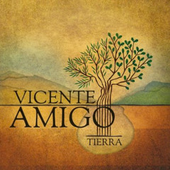 Vincente Amigo - Callejon de la luna