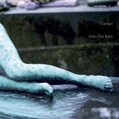 Locust 'I'll Be There' (eMEGO 205)