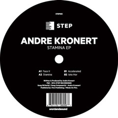 techno, andre kronert