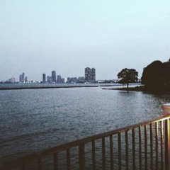 She A Bad Bitch She Just Wanna Fuck Niggas