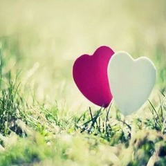 လိပ္ခြံ - အခ်စ္သာရွိတာပါ