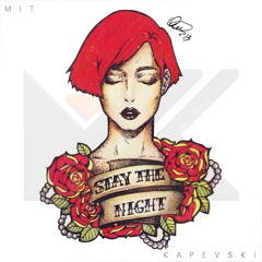 Zedd | Stay The Night Vs. Nigel Good | One Minus Space (V•< MashUp)