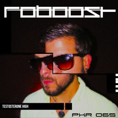 ROBOOST - Alle Sprechen Von Berlin (Original Mix) [Pollux Records]