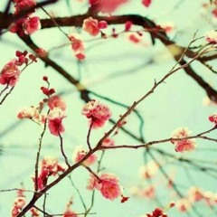 امن بالحب ربيع الاسمر