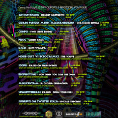 V/A - Bardo Realm Navigators (Compiled by DJ Spacepops & Mystical Voyager) [Visionary Shamanics Records]