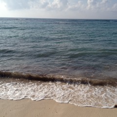 Shoreline Sounds at Akumal