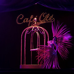 Kortez live - Café - Olé - August [Free download]