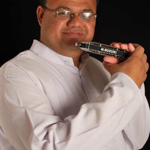 Suzuki songstar sale harmonica buy online