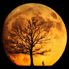 Incor & O.Arzola - Noviembre (Prod O.Arzola)