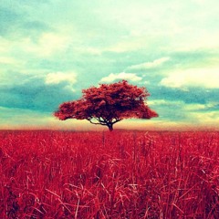 N0Vision - A Better Tomorrow