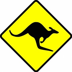 The Trouser Kangaroo