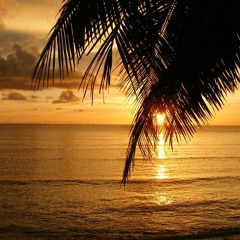 Τραγίλα - Constantine Cullen - Κρητικό Tranquila