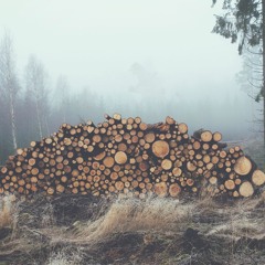 Drake - Tuesday (Twinsmatic Remix)