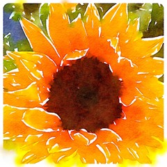 This Place Is Everywhere And Everywhere Is Now By Aaron Bergman