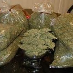 All Day Smoke My Weed**** (feat) ec2Rx &VIP_TLEN