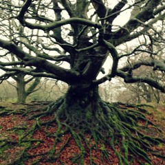 Topsoil - Ed, Will & Ginger