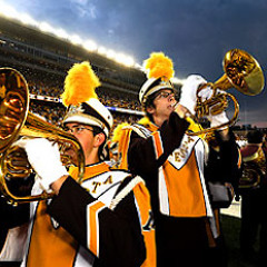 I Found Myself in Wonderland