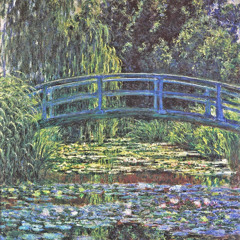 Water Lilies