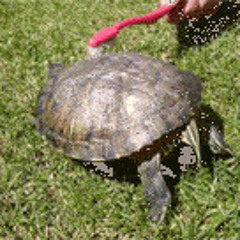 pokemon battle remix 960415 edit