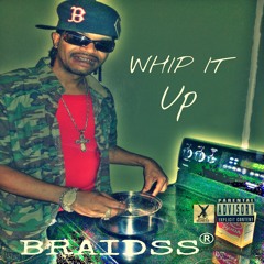 BRAIDSS - WHIP It Up