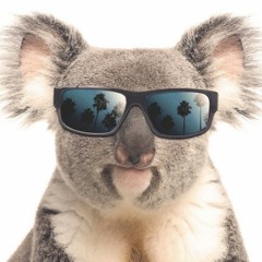 Eucalyptus Is All We Need - Tribute To Spacey Koala And Friends