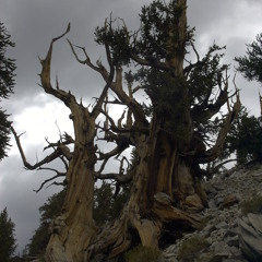 Ghosts Of The Cordillera