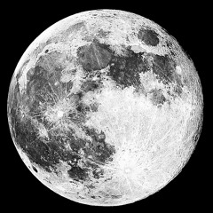 Don't Forget the Moon
