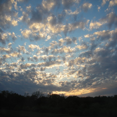 Download Blue Sky Prod. by No I.D.