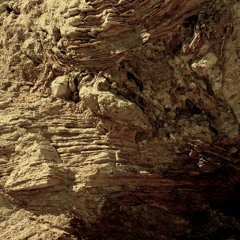 Coming Home In The Cold